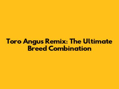 Toro Angus Remix: The Ultimate Breed Combination
