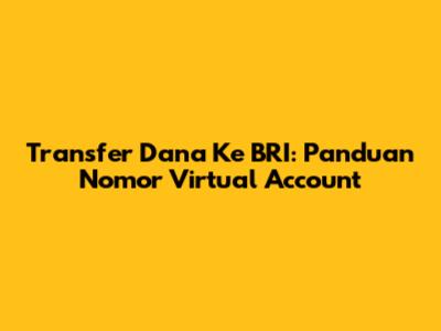 Transfer Dana Ke BRI: Panduan Nomor Virtual Account