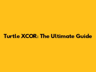 Turtle XCOR: The Ultimate Guide
