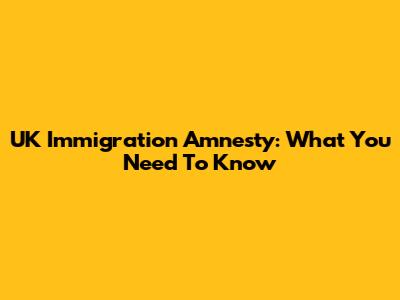 UK Immigration Amnesty: What You Need To Know