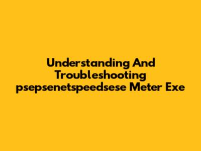 Understanding And Troubleshooting "psepsenetspeedsese Meter Exe"