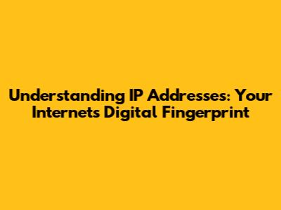 Understanding IP Addresses: Your Internet's Digital Fingerprint