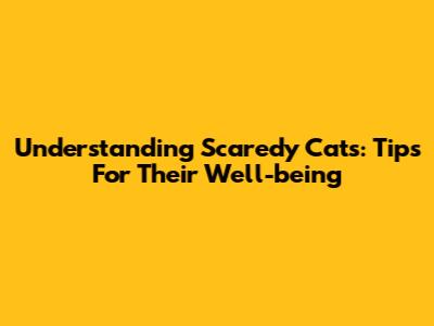 Understanding Scaredy Cats: Tips For Their Well-being