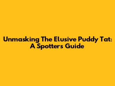 Unmasking The Elusive 'Puddy Tat': A Spotter's Guide