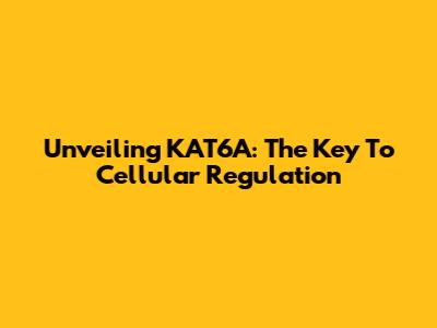 Unveiling KAT6A: The Key To Cellular Regulation