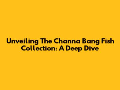 Unveiling The Channa Bang Fish Collection: A Deep Dive
