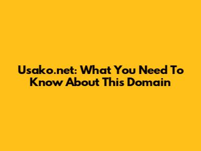 Usako.net: What You Need To Know About This Domain