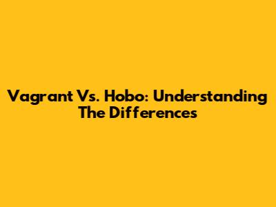 Vagrant Vs. Hobo: Understanding The Differences