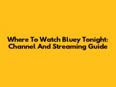 Where To Watch Bluey Tonight: Channel And Streaming Guide