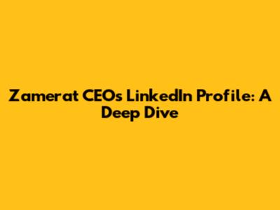Zamerat CEO's LinkedIn Profile: A Deep Dive