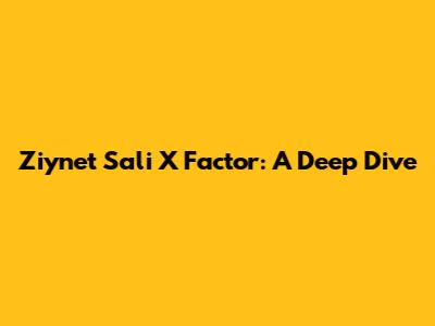 Ziynet Sali X Factor: A Deep Dive